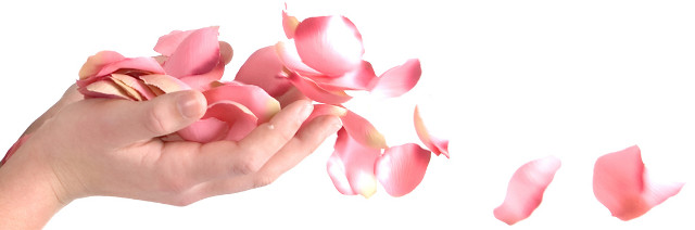 gezondheid en wellness, foto rozeblaadjes